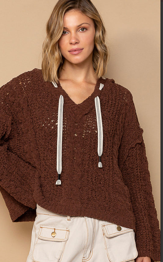 Chenille V-Neck Sweater with Long Sleeves (Deep Chocolate)