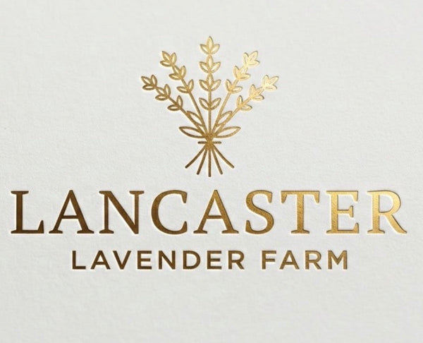 Lancaster Lavender Farm